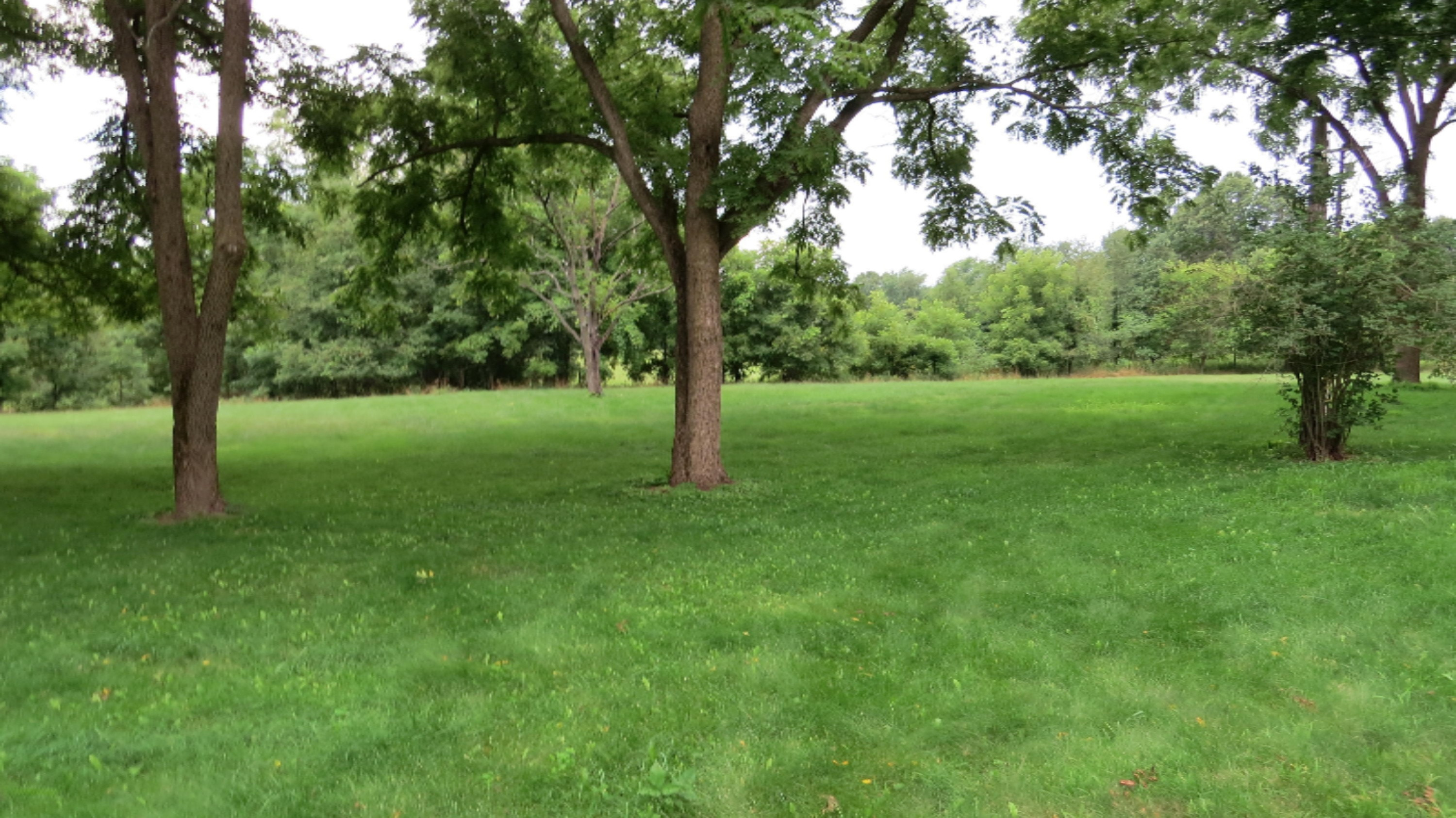 12095 Crum Road Plainwell, MI 49080 - Photo 13 of 19 IMG_3886