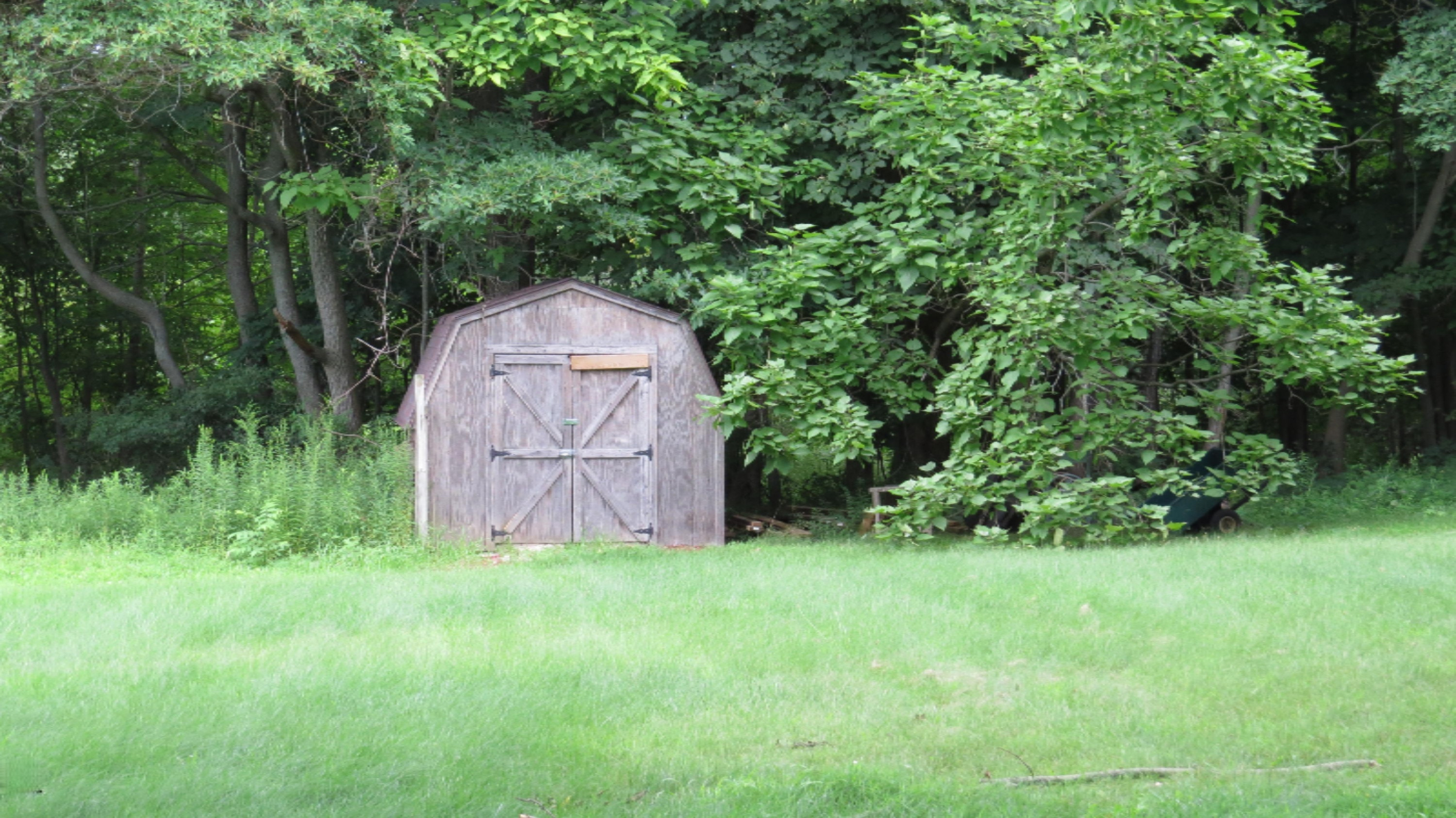 12095 Crum Road Plainwell, MI 49080 - Photo 17 of 19 IMG_3890