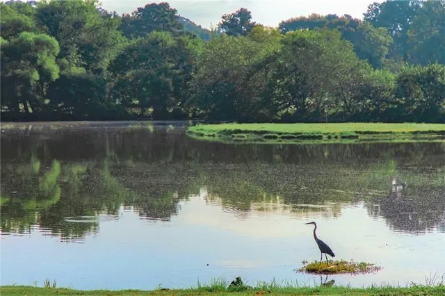 a view of a backyard with swimming pool
