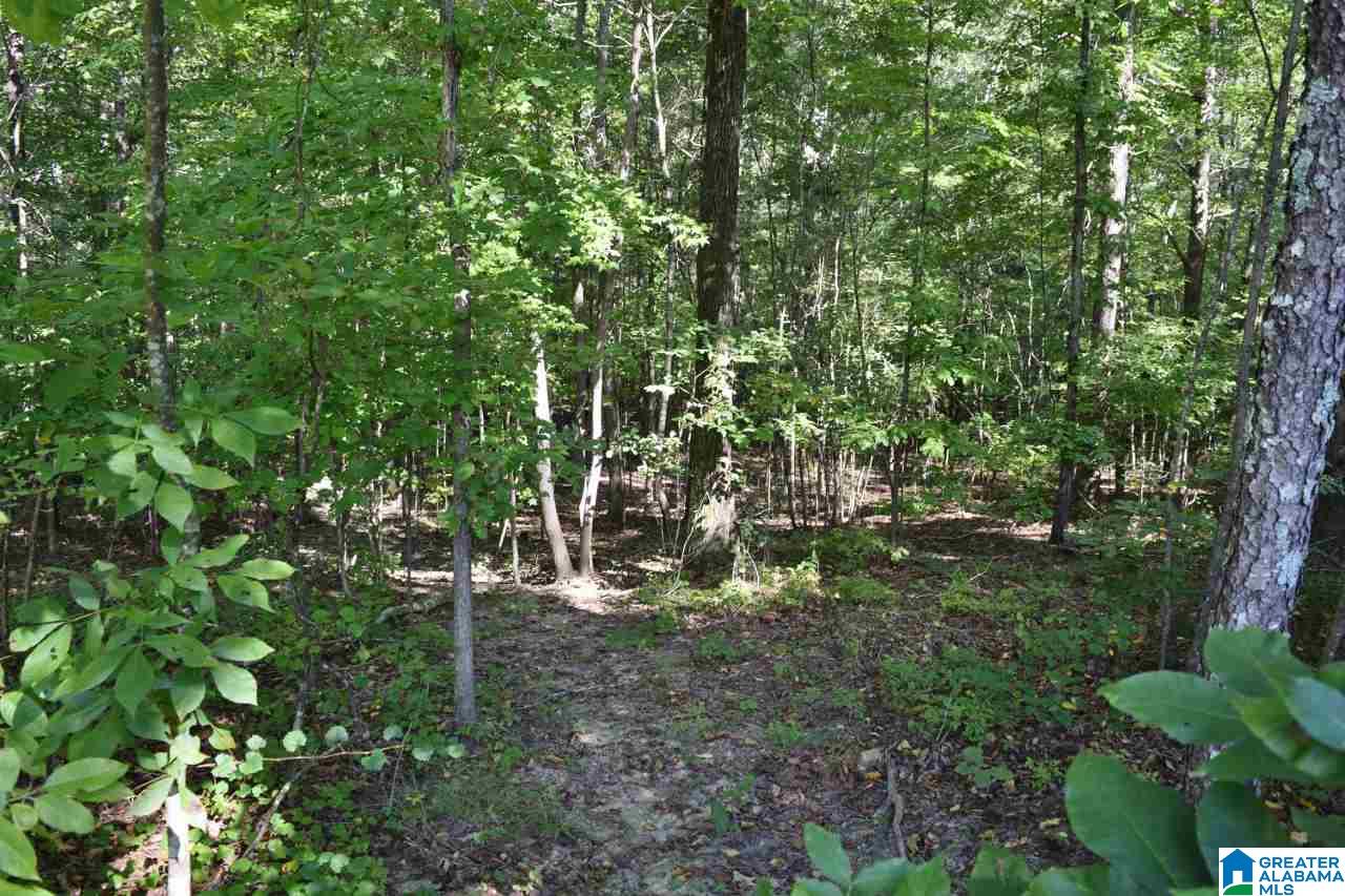 771 Hickory Valley Road Trussville, AL 35173 - Photo 37 of 38