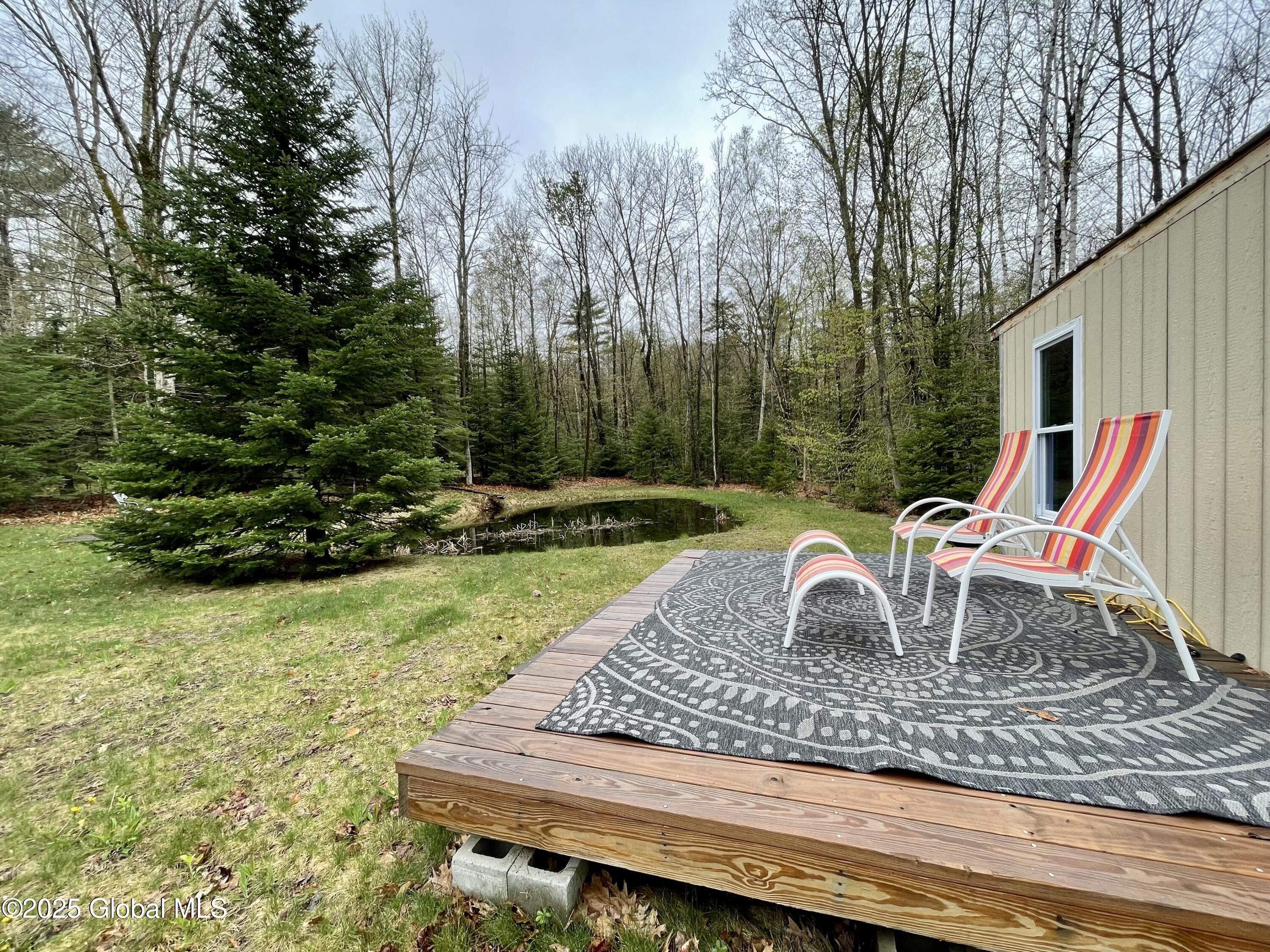 20 Smith Road Thurman, NY 12810 - Photo 32 of 38 IMG_5152