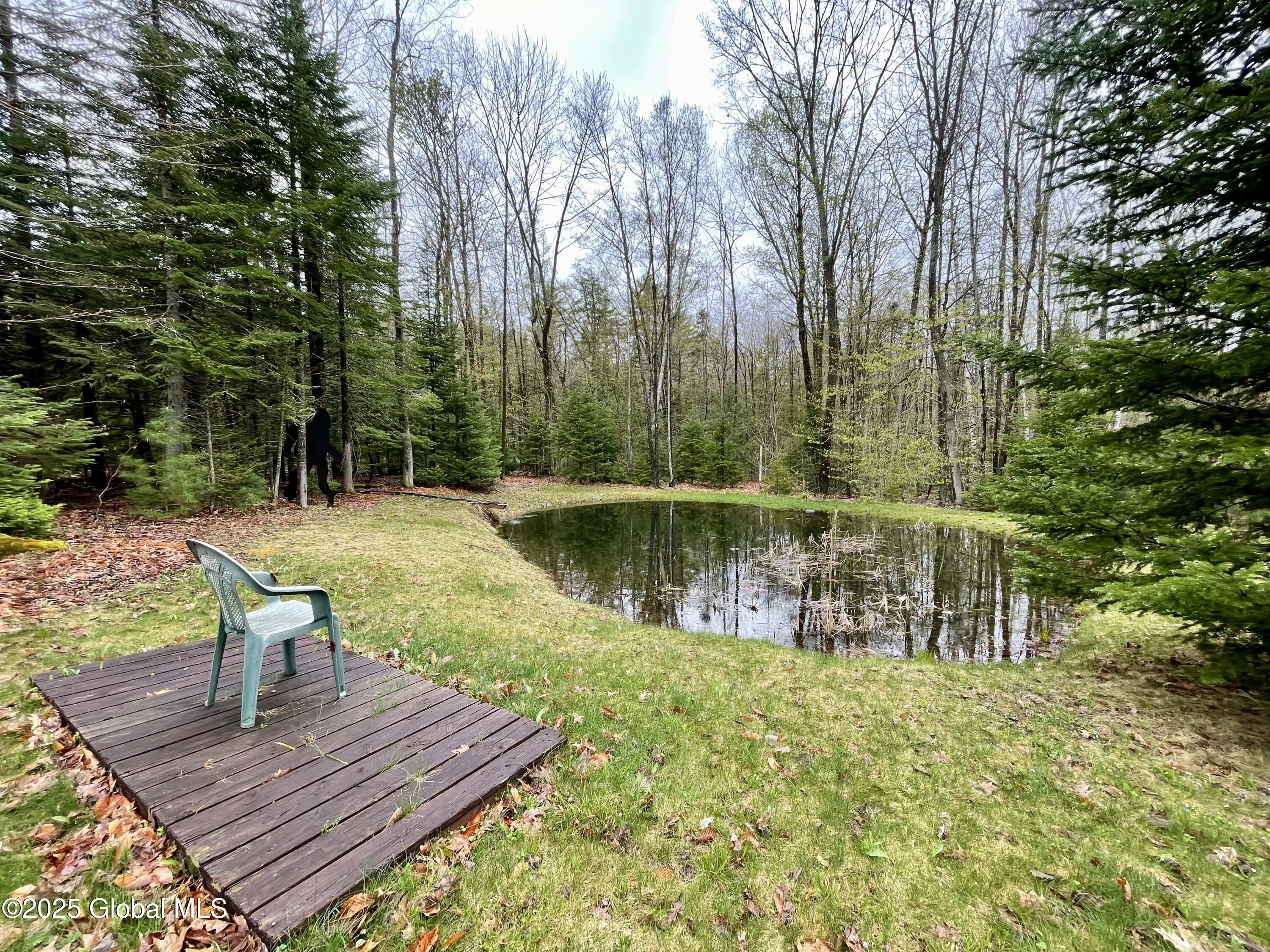 20 Smith Road Thurman, NY 12810 - Photo 33 of 38 IMG_5160