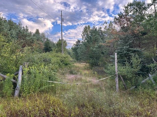 Nhn East Stockwell Road Harrison, MI 48625 - Photo 1 of 8