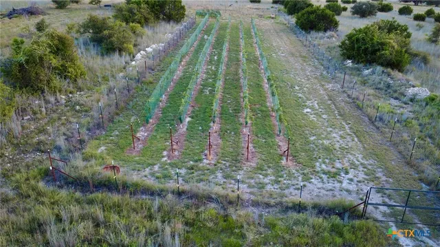 a view of park with trees