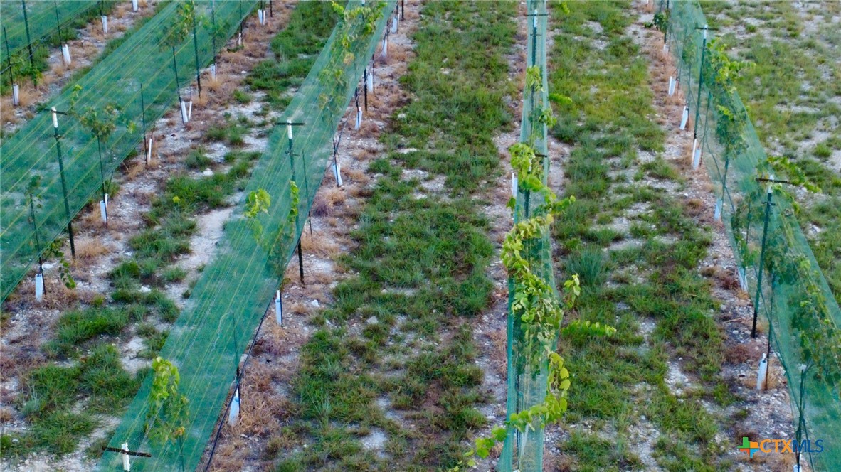 15049 Ranch Road 101 Kempner, TX 76539 - Photo 16 of 25 a view of a garden with plants