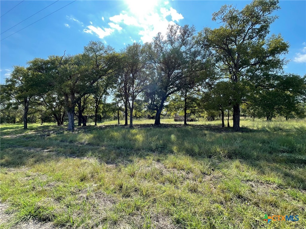 15049 Ranch Road 101 Kempner, TX 76539 - Photo 18 of 25 a view of park with trees