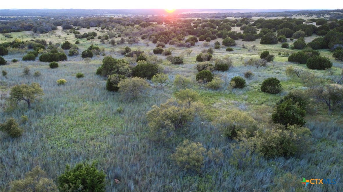 15049 Ranch Road 101 Kempner, TX 76539 - Photo 21 of 25 a view of a green field