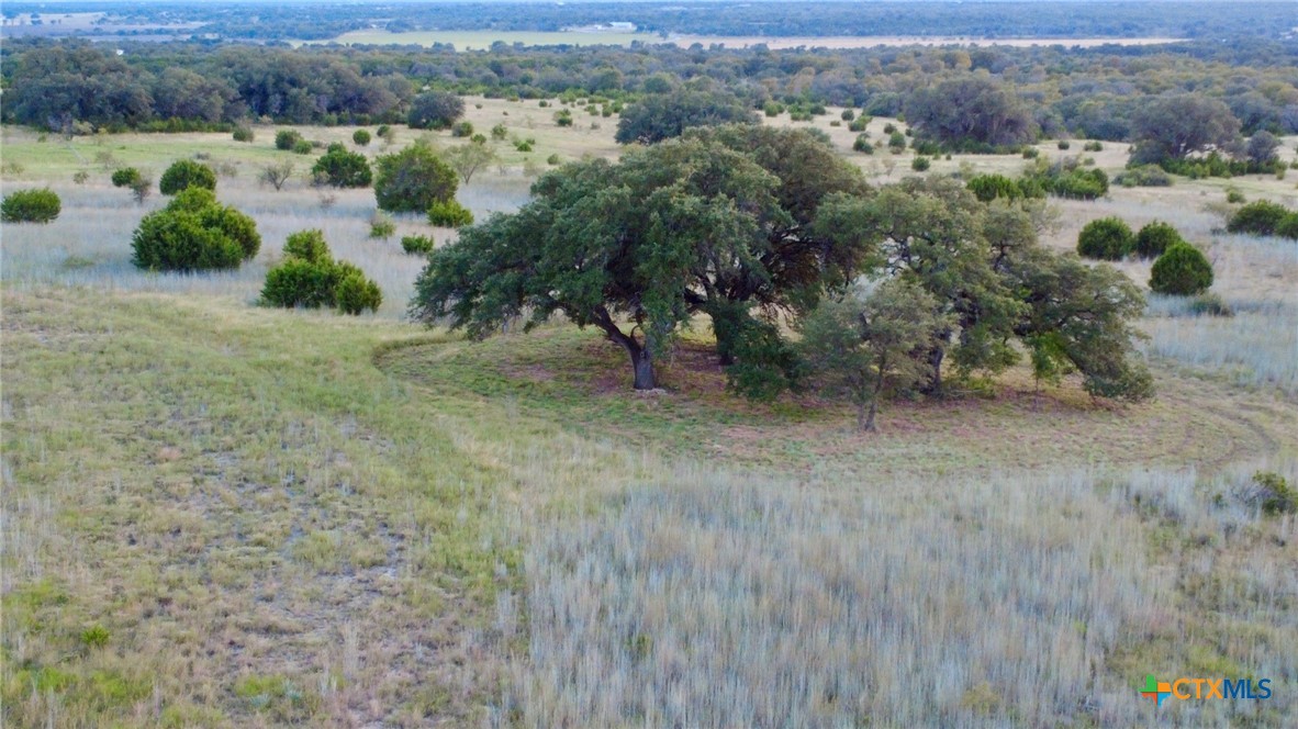 15049 Ranch Road 101 Kempner, TX 76539 - Photo 24 of 25 an aerial view of residential house with outdoor space