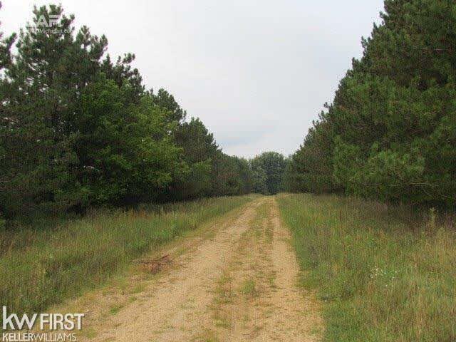 3994 Tyrell Road Owosso, MI 48867 - Photo 25 of 25 Gallery Image 25