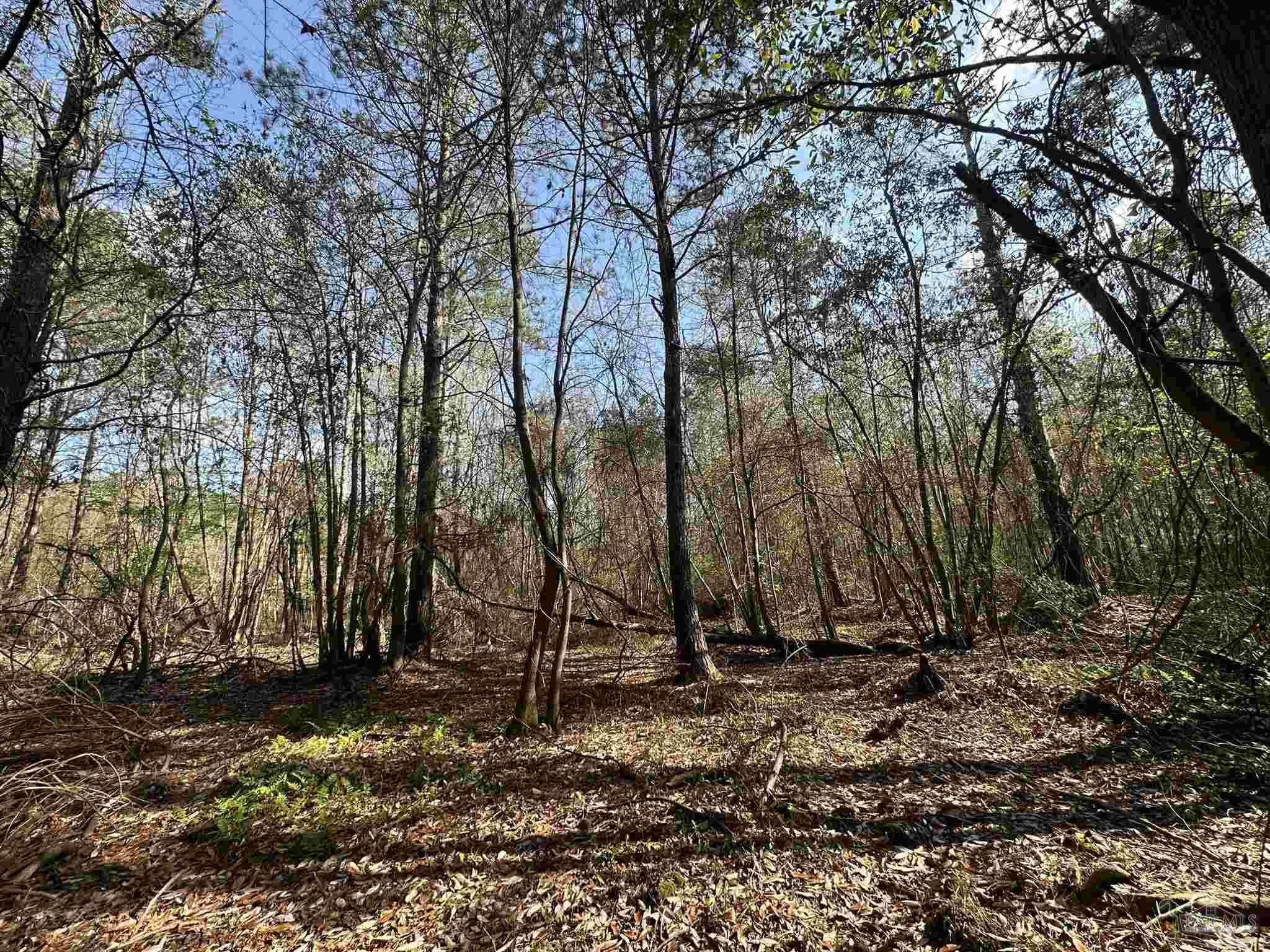 15-ac Snyder Road Frisco City, AL 36445 - Photo 20 of 22