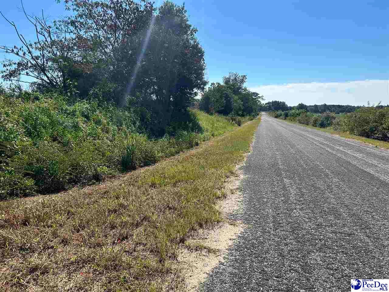 Tbd Tbd Talon Plant Road Bennettsville, SC 29512 - Photo 2 of 5 Gallery Image 2