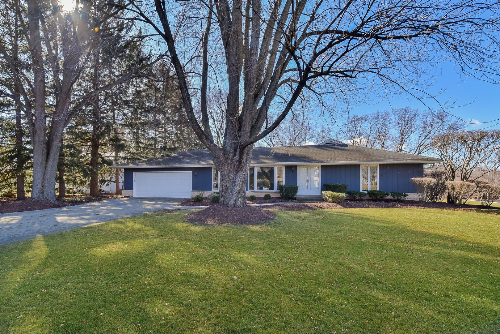 a view of a house with a yard and large tree