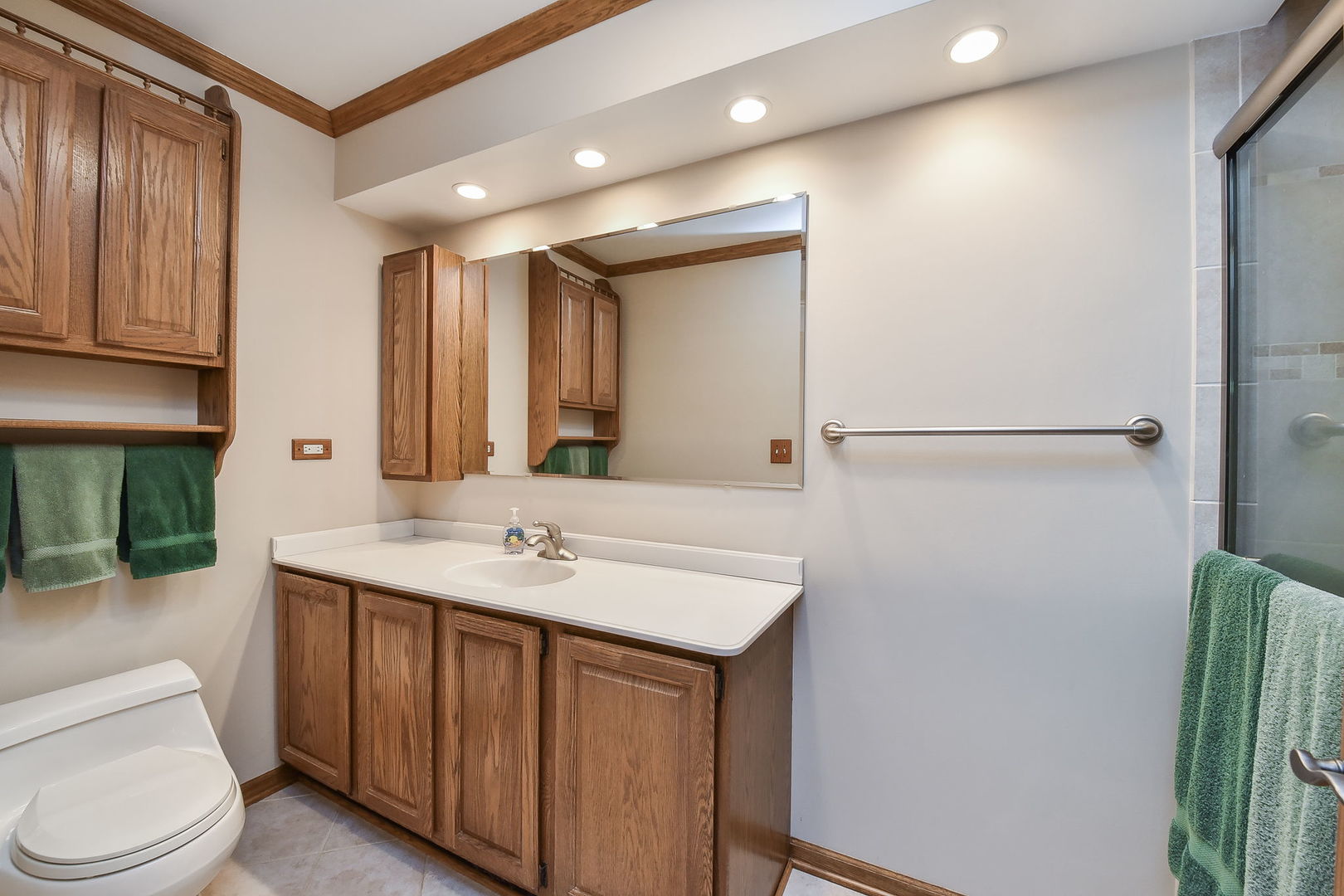 8S526 River Drive Naperville, IL 60565 - Photo 15 of 35 a bathroom with a sink a toilet and shower