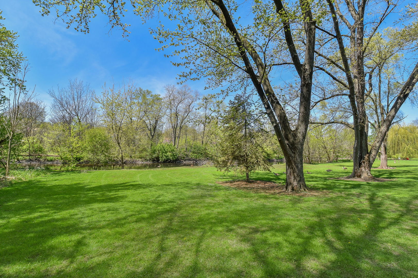 8S526 River Drive Naperville, IL 60565 - Photo 33 of 35 a view of outdoor space with green field and trees