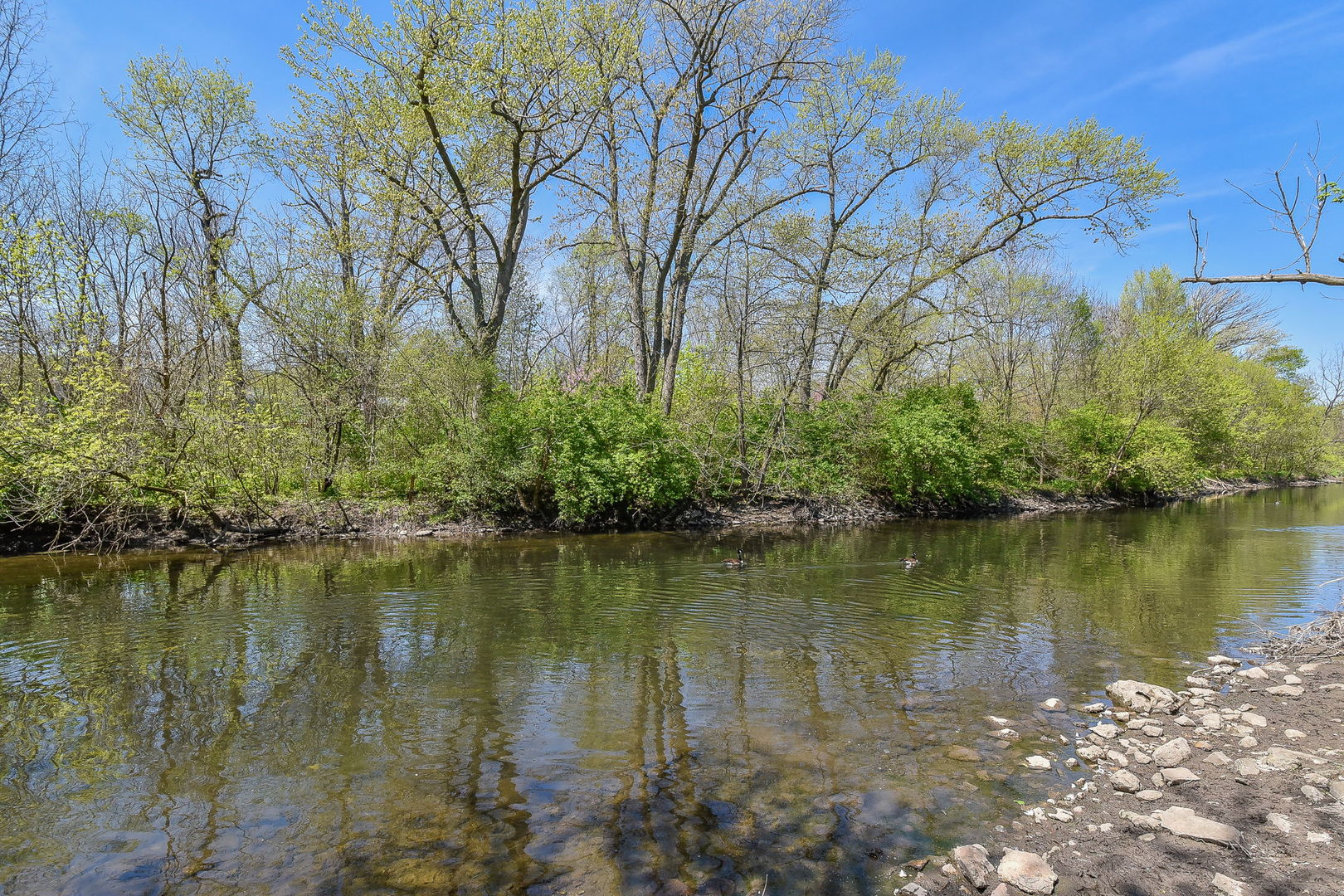 8S526 River Drive Naperville, IL 60565 - Photo 34 of 35 a view of a lake with houses