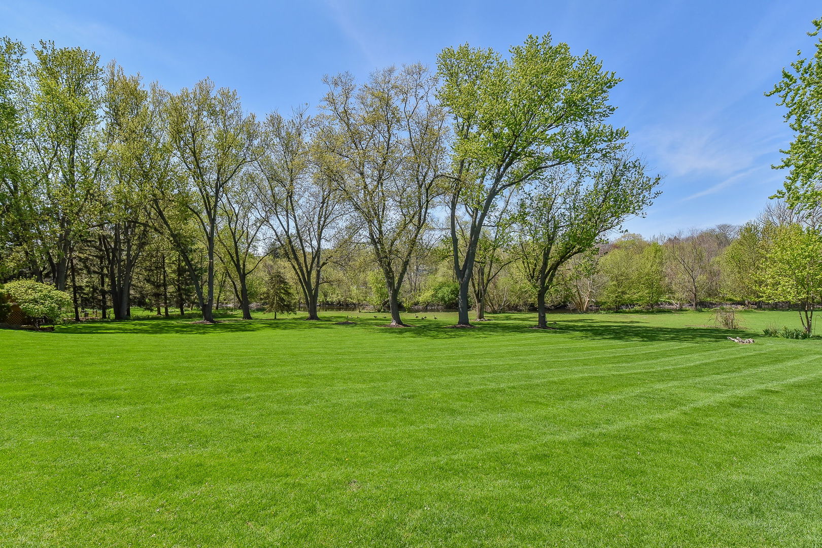 8S526 River Drive Naperville, IL 60565 - Photo 35 of 35 a view of a grassy field with trees