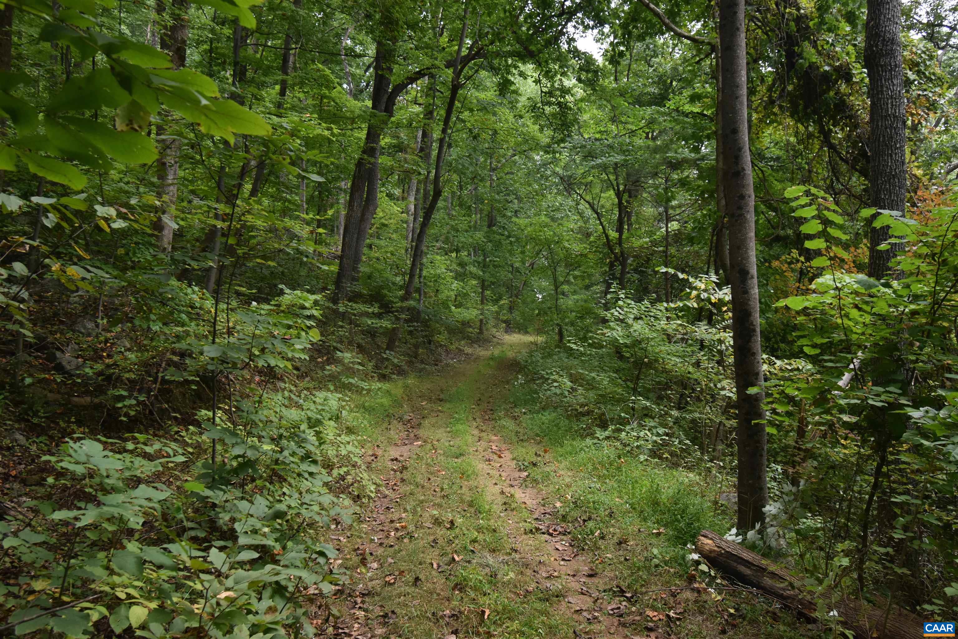 12 Old Mountain Road Stanardsville, VA 22973 - Photo 12 of 28 a view of a lush green forest