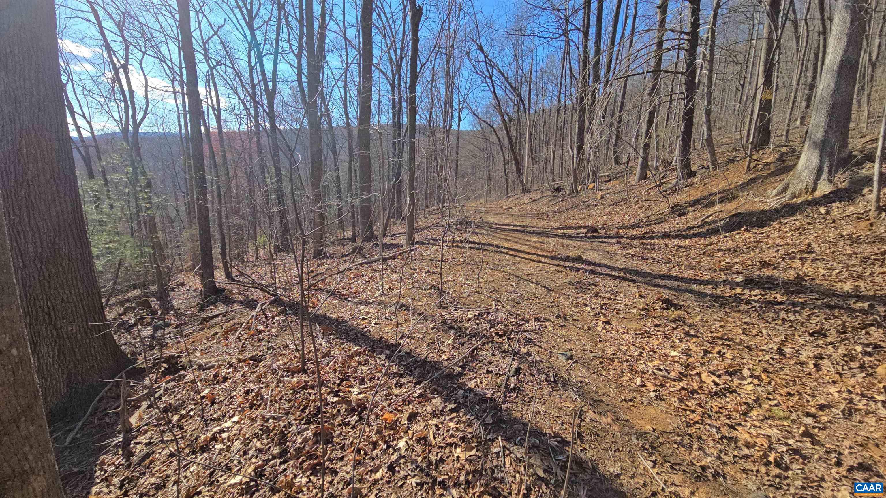 12 Old Mountain Road Stanardsville, VA 22973 - Photo 2 of 28 a view of a backyard of the house