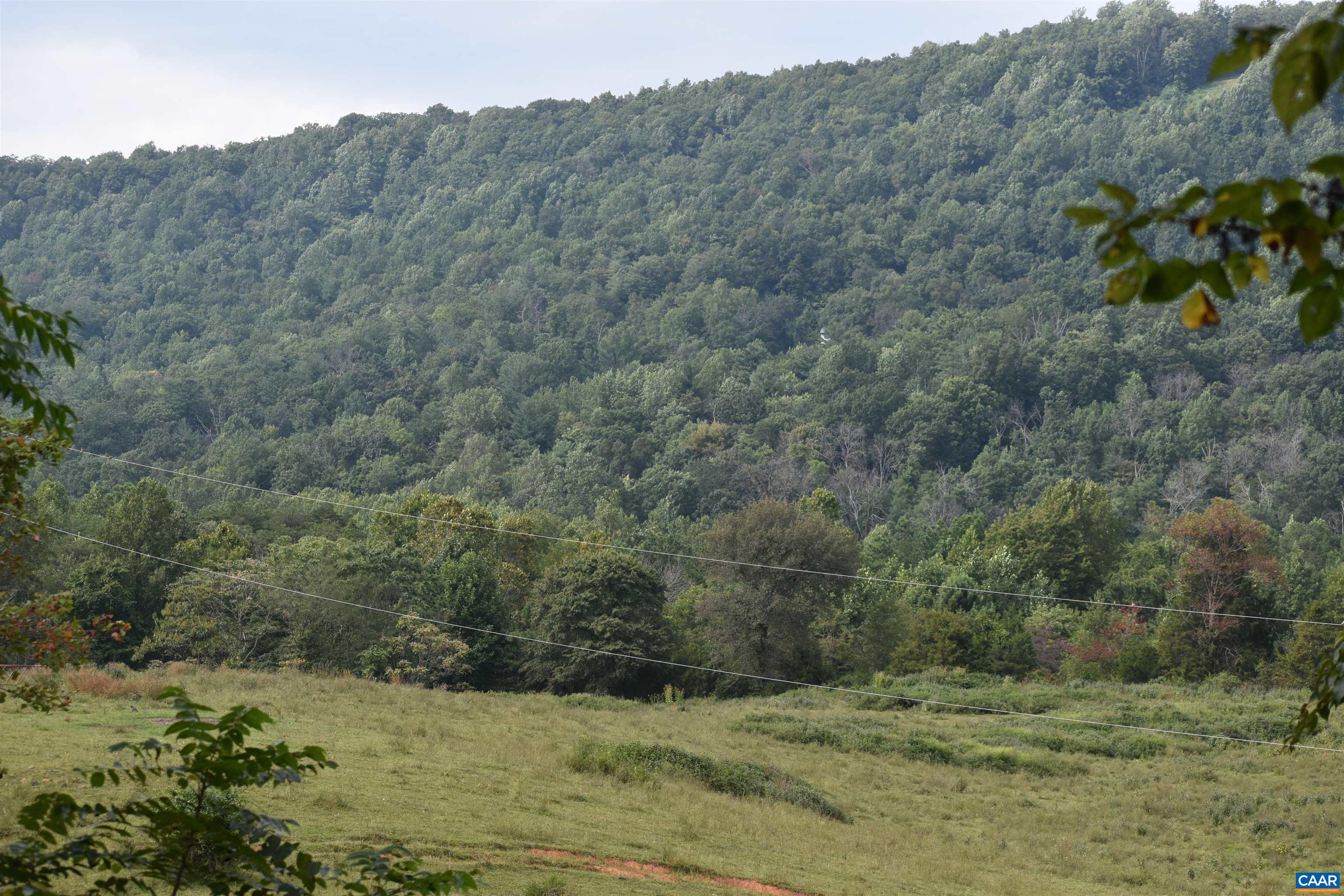 12 Old Mountain Road Stanardsville, VA 22973 - Photo 21 of 28 a view of a field with a tree in it