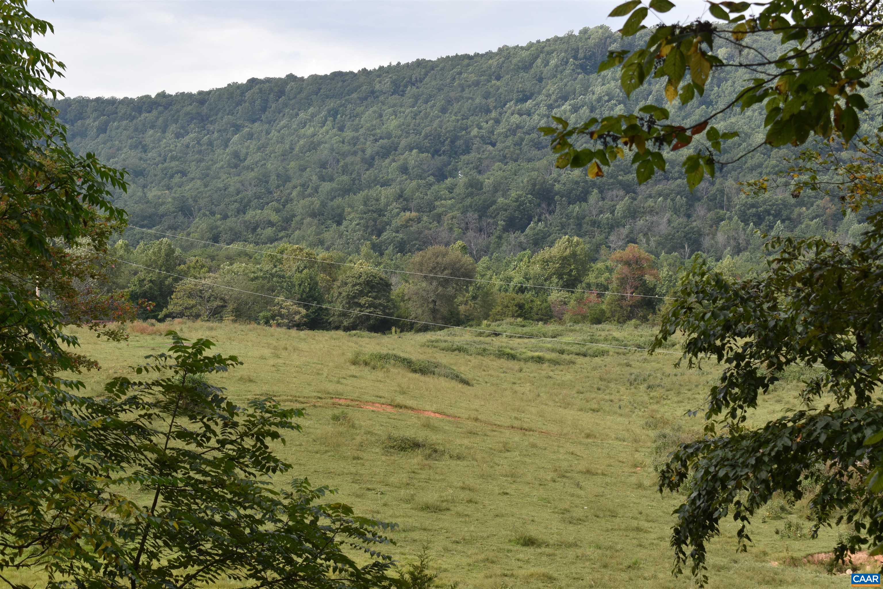 12 Old Mountain Road Stanardsville, VA 22973 - Photo 28 of 28 a view of a yard with a tree