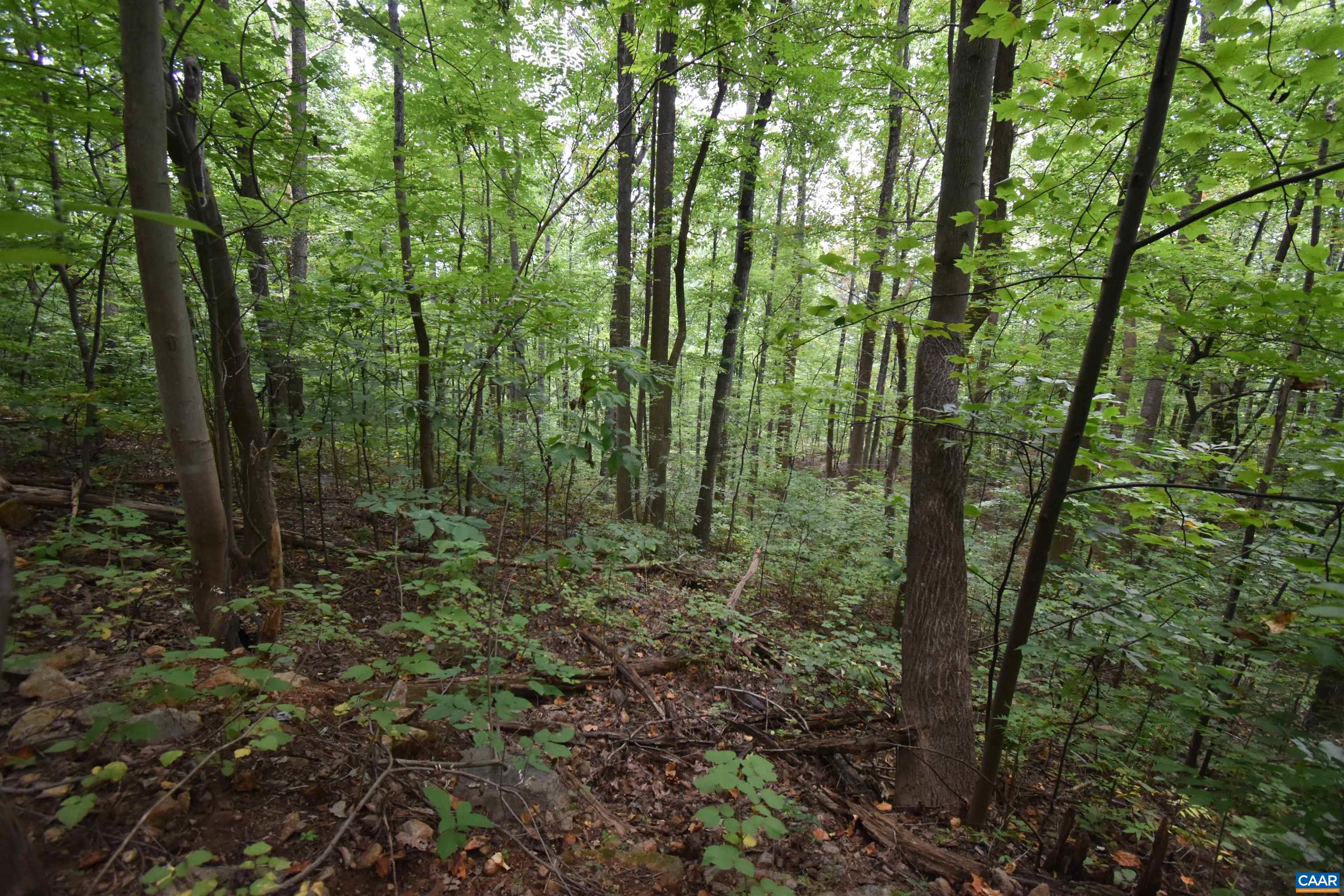 12 Old Mountain Road Stanardsville, VA 22973 - Photo 6 of 28 a view of outdoor space and green space