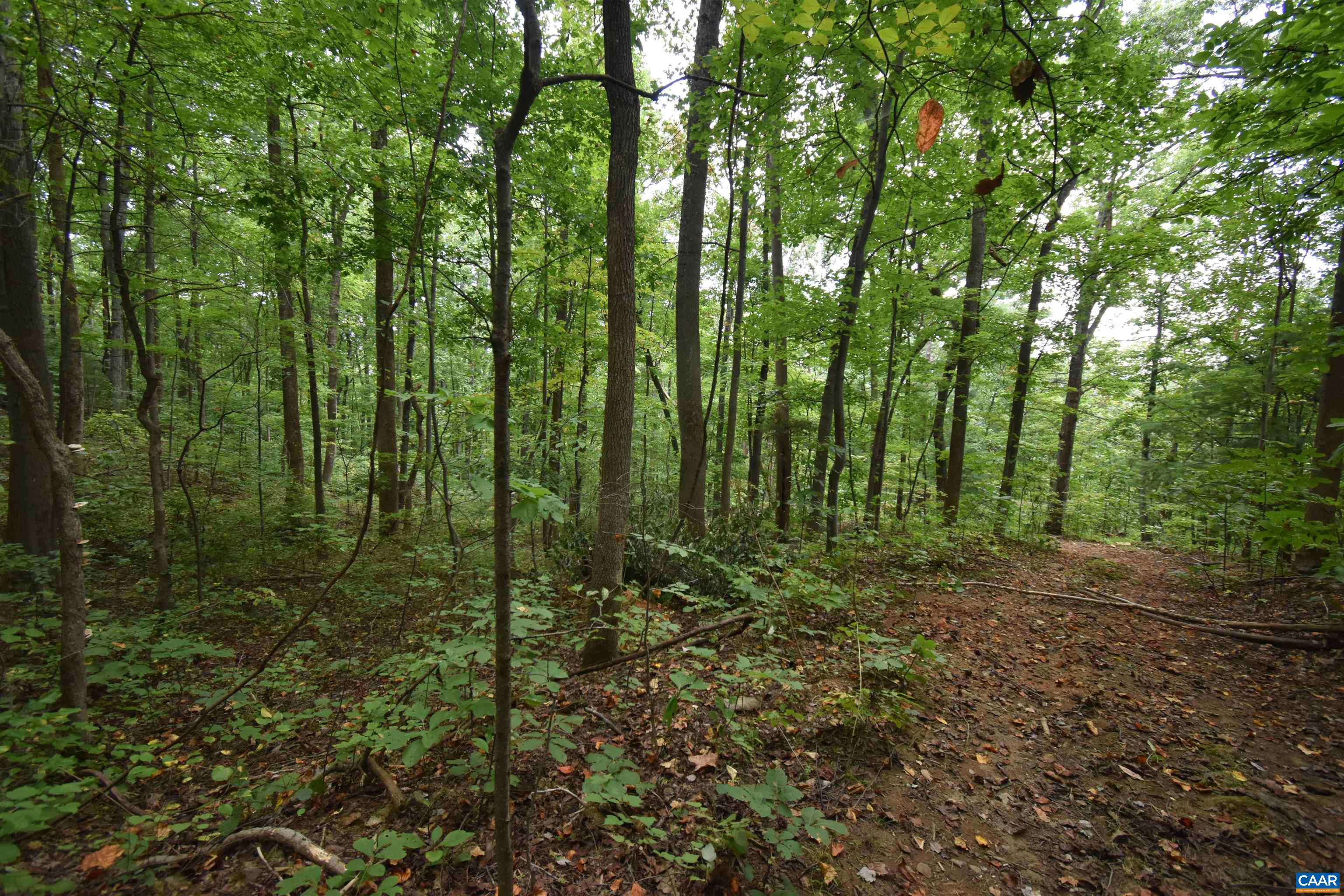 12 Old Mountain Road Stanardsville, VA 22973 - Photo 9 of 28 a view of outdoor space and green space