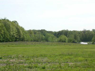 18776 Devall Road Spencerville, IN 46788 - Photo 2 of 6
