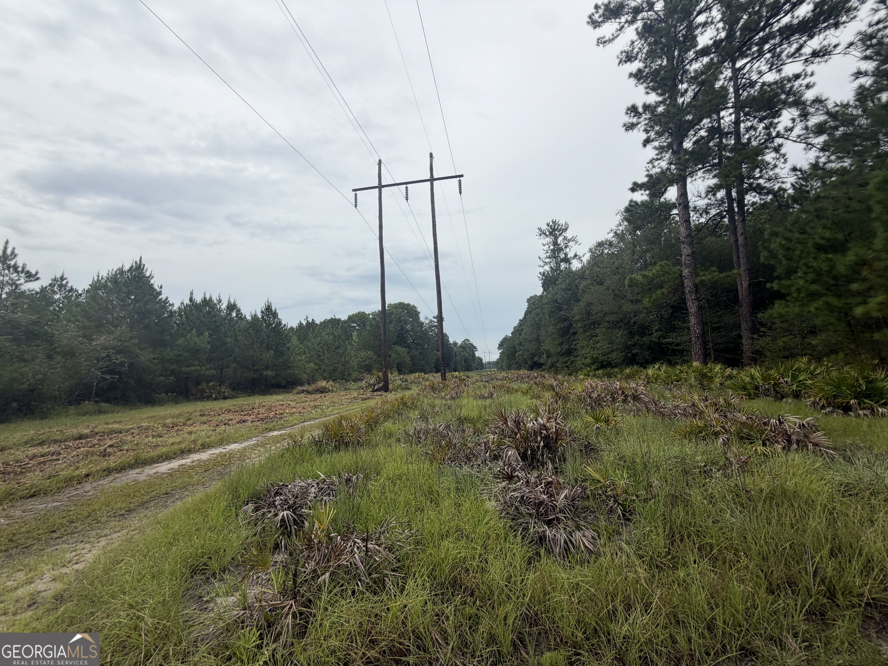 0 Jamestown Road Waycross, GA 31503 - Photo 72 of 92 Gallery Image 72