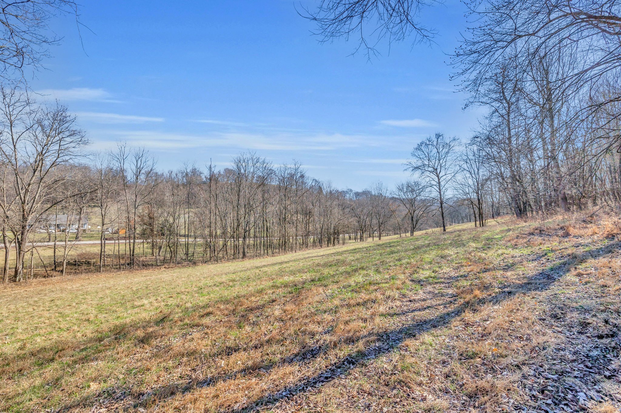 3153 Blazer Road Franklin, TN 37064 - Photo 11 of 11 a view of a yard with a tree