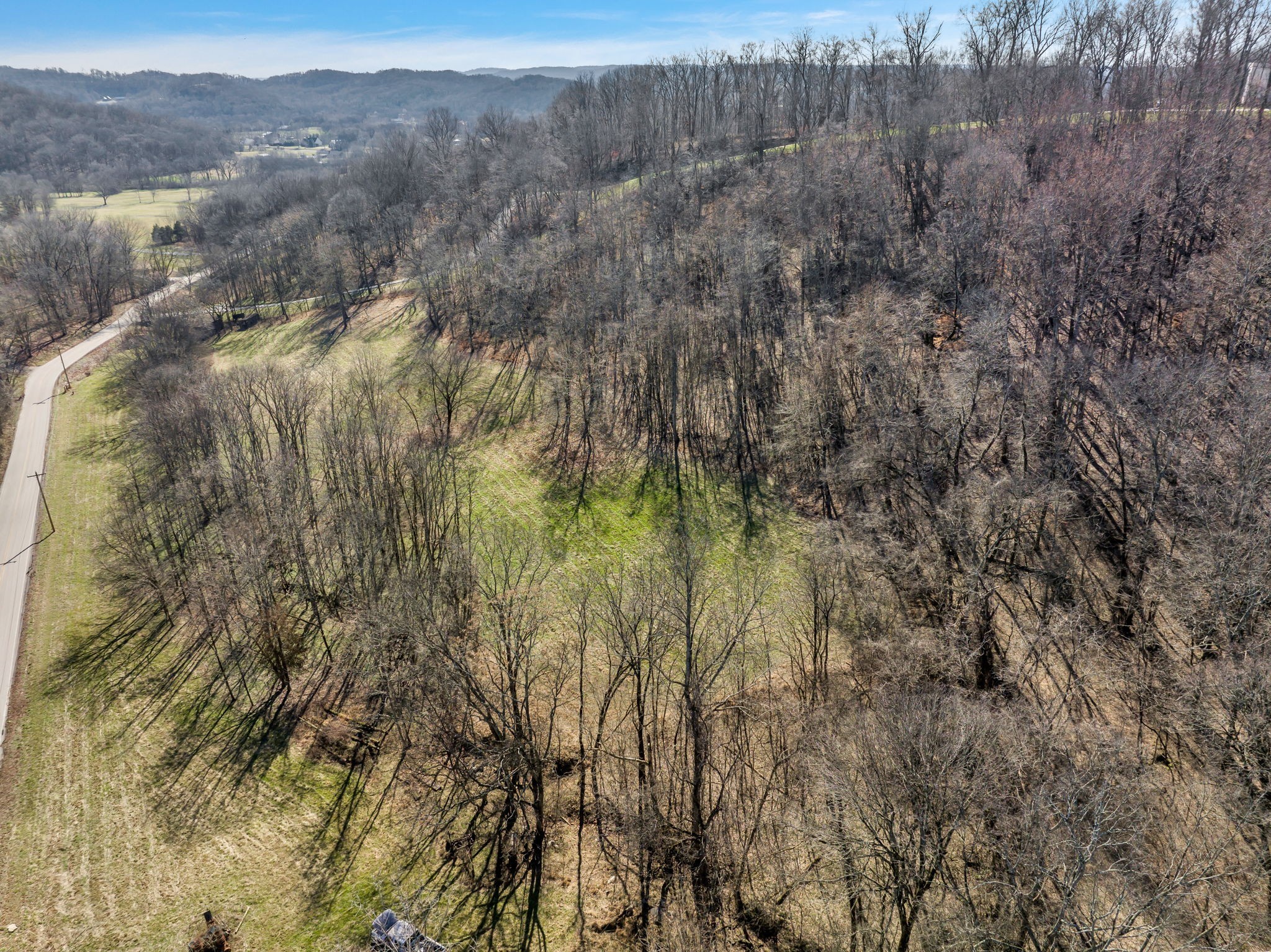 3153 Blazer Road Franklin, TN 37064 - Photo 9 of 11 a view of forest