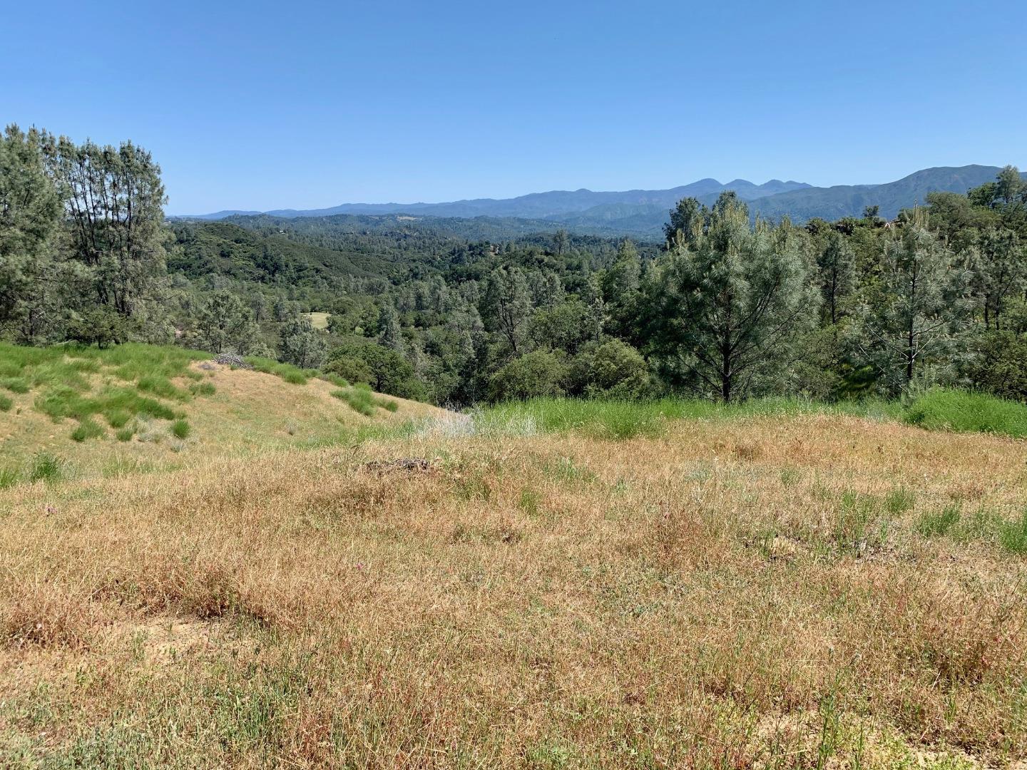 73856 Copperhead Road Bradley, CA 93426 - Photo 14 of 23 a view of a yard with a lake