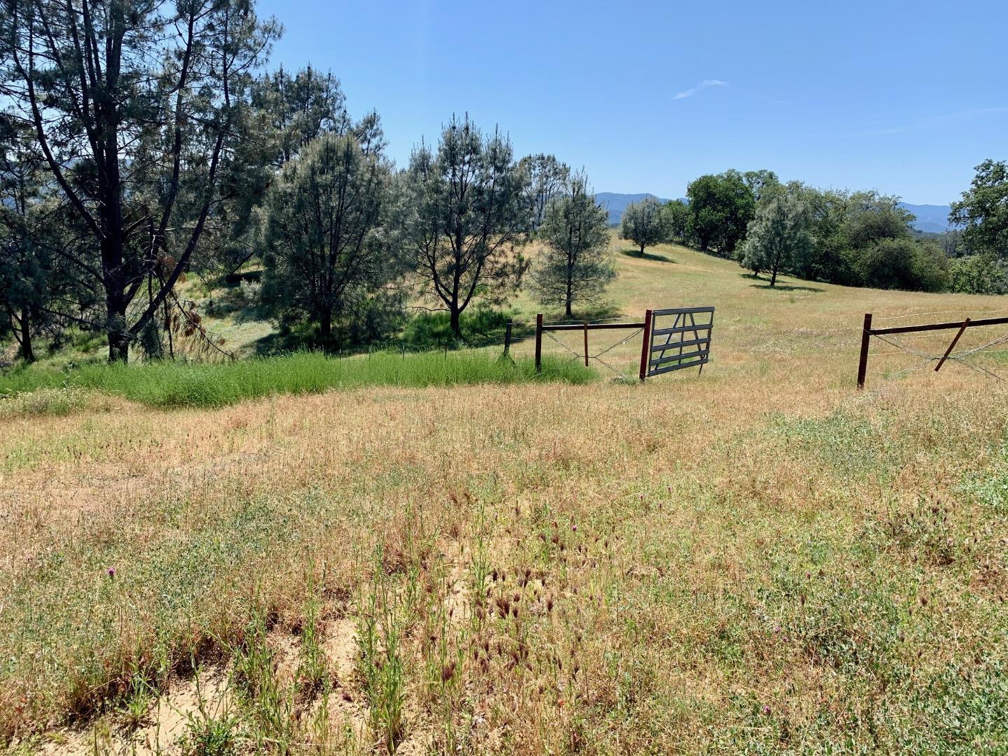 73856 Copperhead Road Bradley, CA 93426 - Photo 15 of 23 a view of a road with a yard