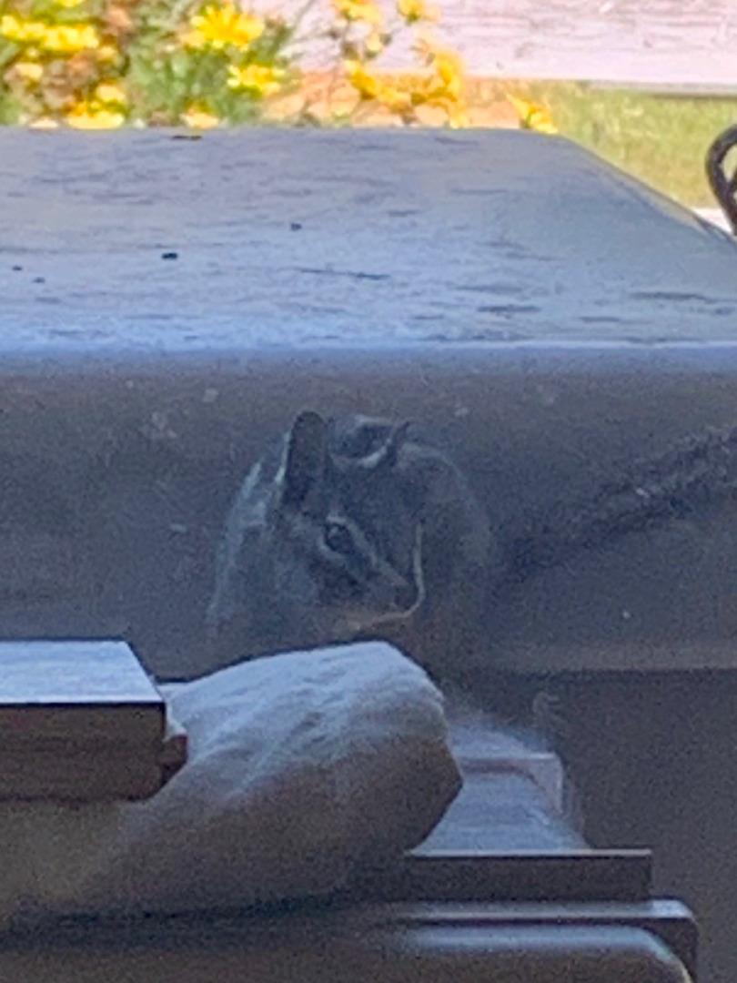 73856 Copperhead Road Bradley, CA 93426 - Photo 17 of 23