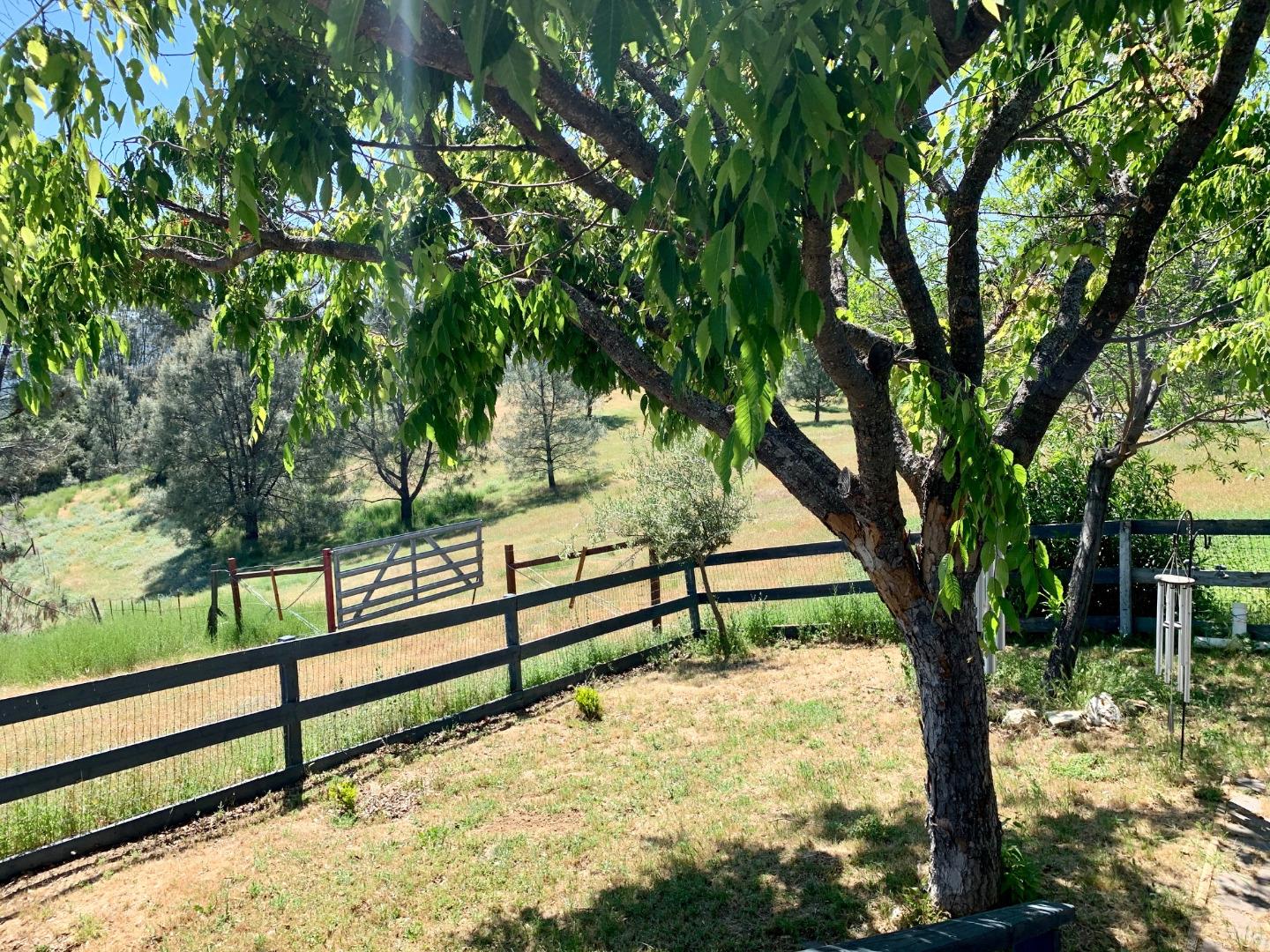 73856 Copperhead Road Bradley, CA 93426 - Photo 5 of 23 a view of a yard with wooden fence and a tree