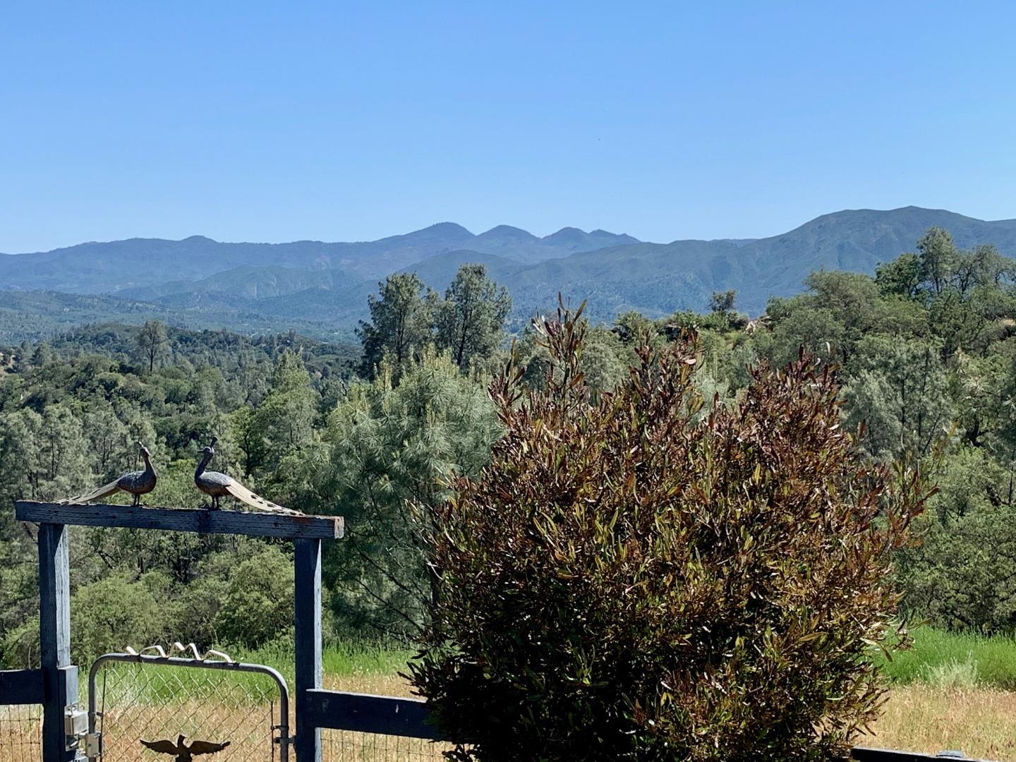73856 Copperhead Road Bradley, CA 93426 - Photo 6 of 23 a view of a mountain in the distance in a field