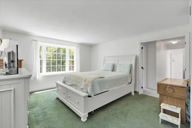 a bed room with a bed and a television