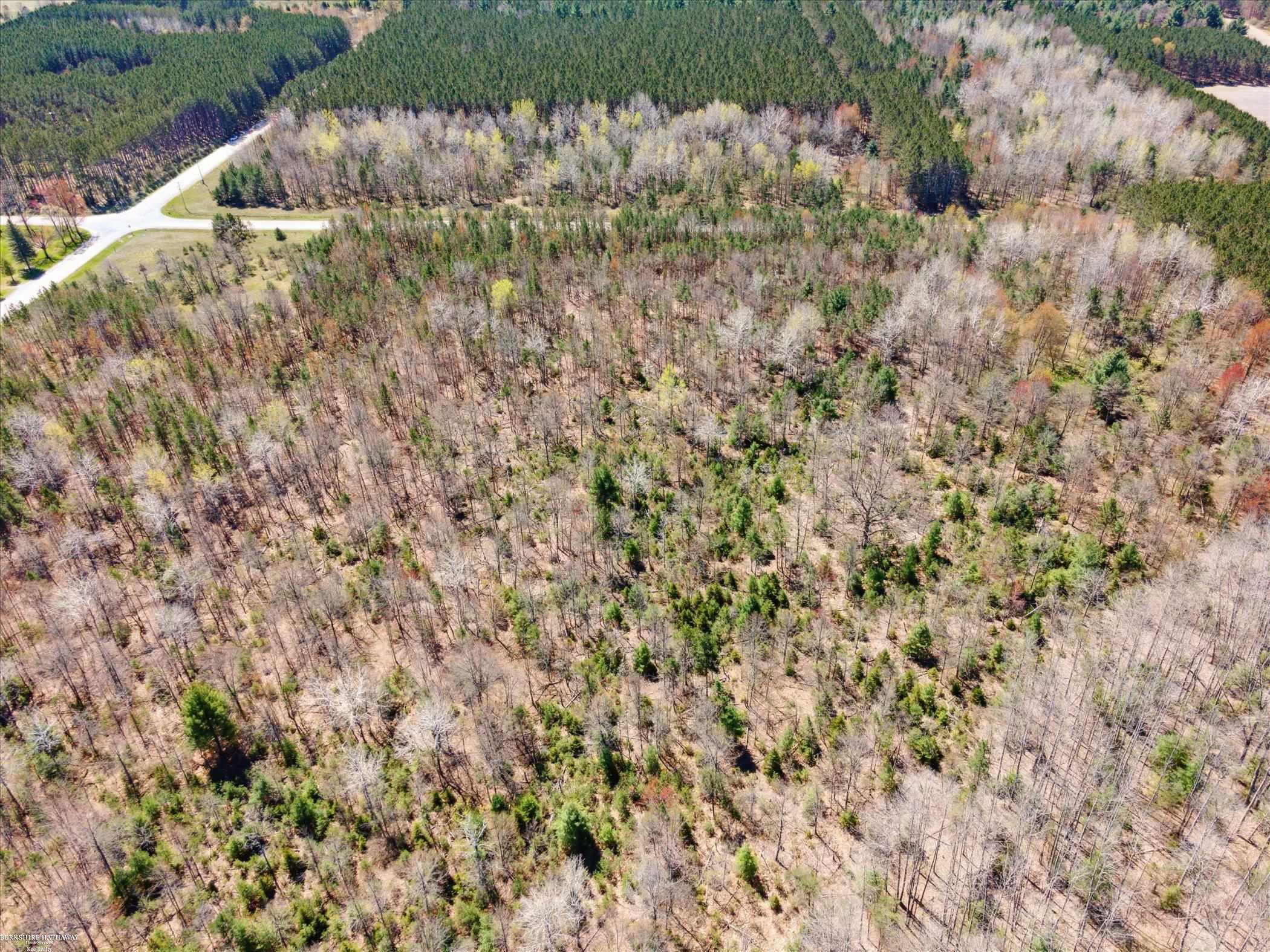 Hottis Road Whittemore, MI 48770 - Photo 16 of 21