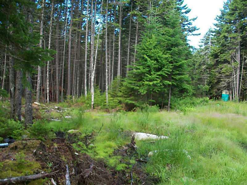 0 Bemis Road Oquossoc, ME 04964 - Photo 6 of 12 Land.