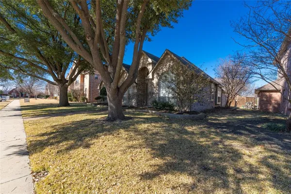 a view of a yard with a tree