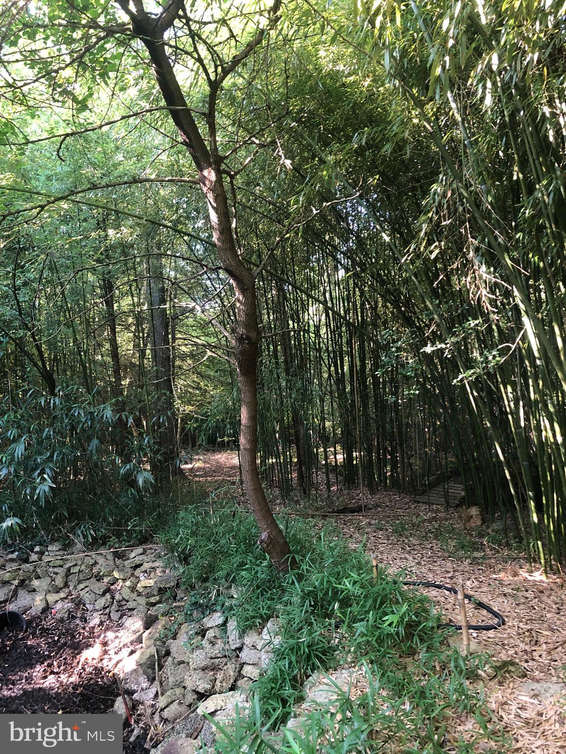 28 Cedar Lane Clementon, NJ 08021 - Photo 47 of 48