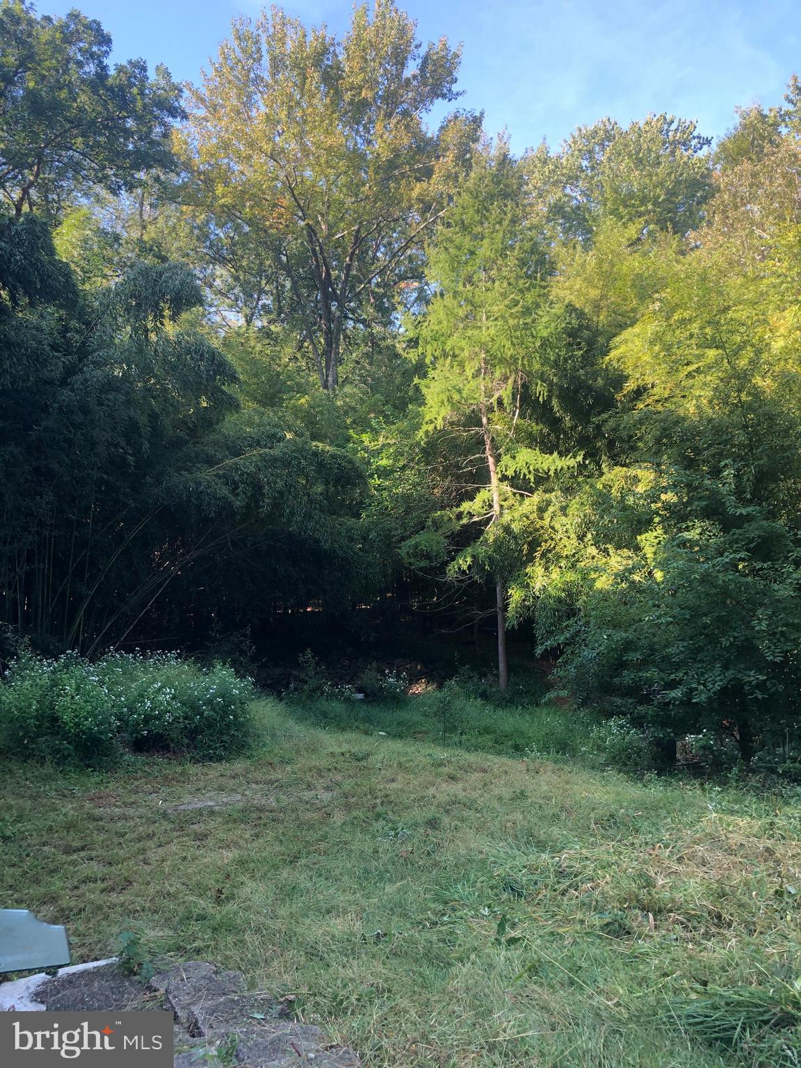 28 Cedar Lane Clementon, NJ 08021 - Photo 48 of 48