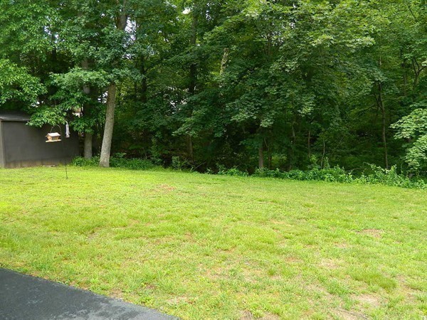 50 Beaverbrook Road Burlington, MA 01803 - Photo 19 of 19 Gallery Image 19
