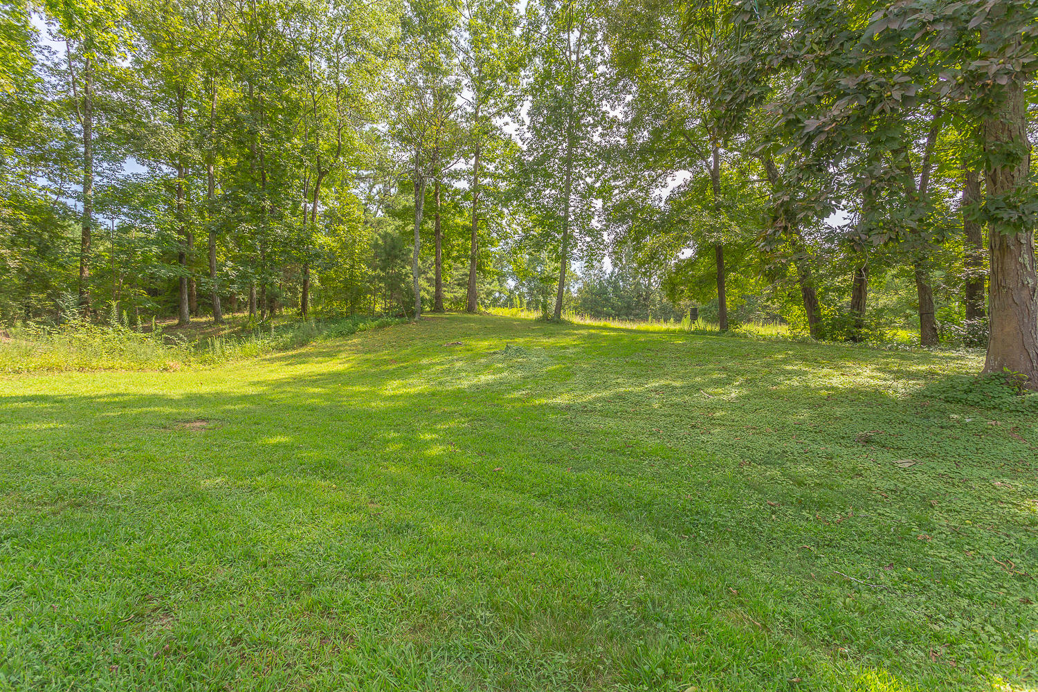 154 Lake Howard Road LaFayette, GA 30728 - Photo 7 of 26 154 Lake Howard-12