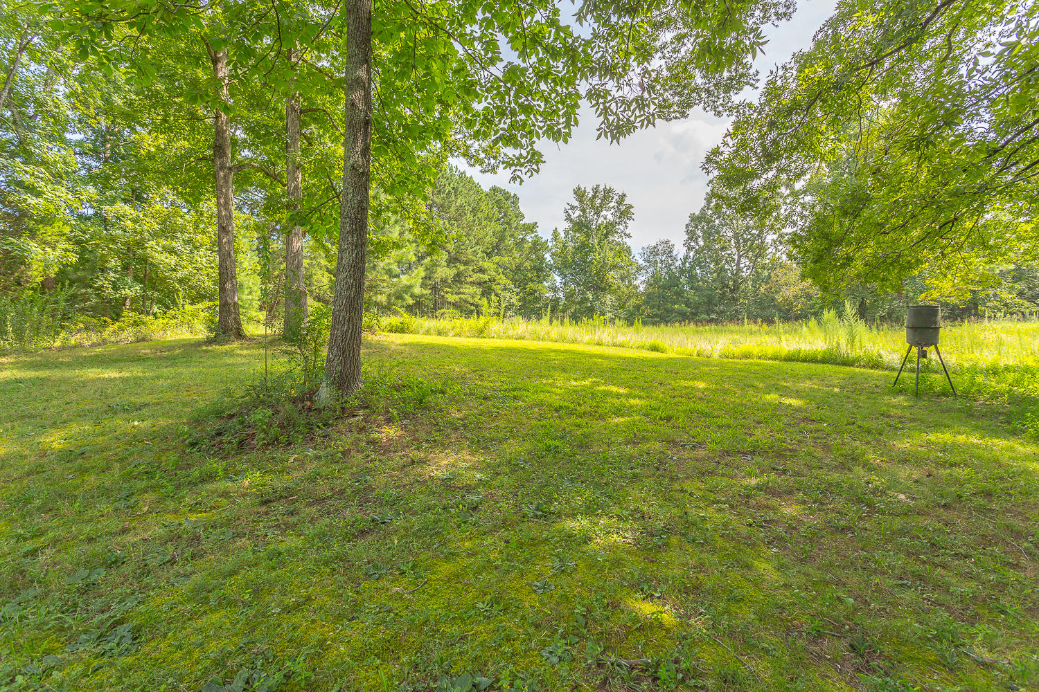 154 Lake Howard Road LaFayette, GA 30728 - Photo 8 of 26 154 Lake Howard-20