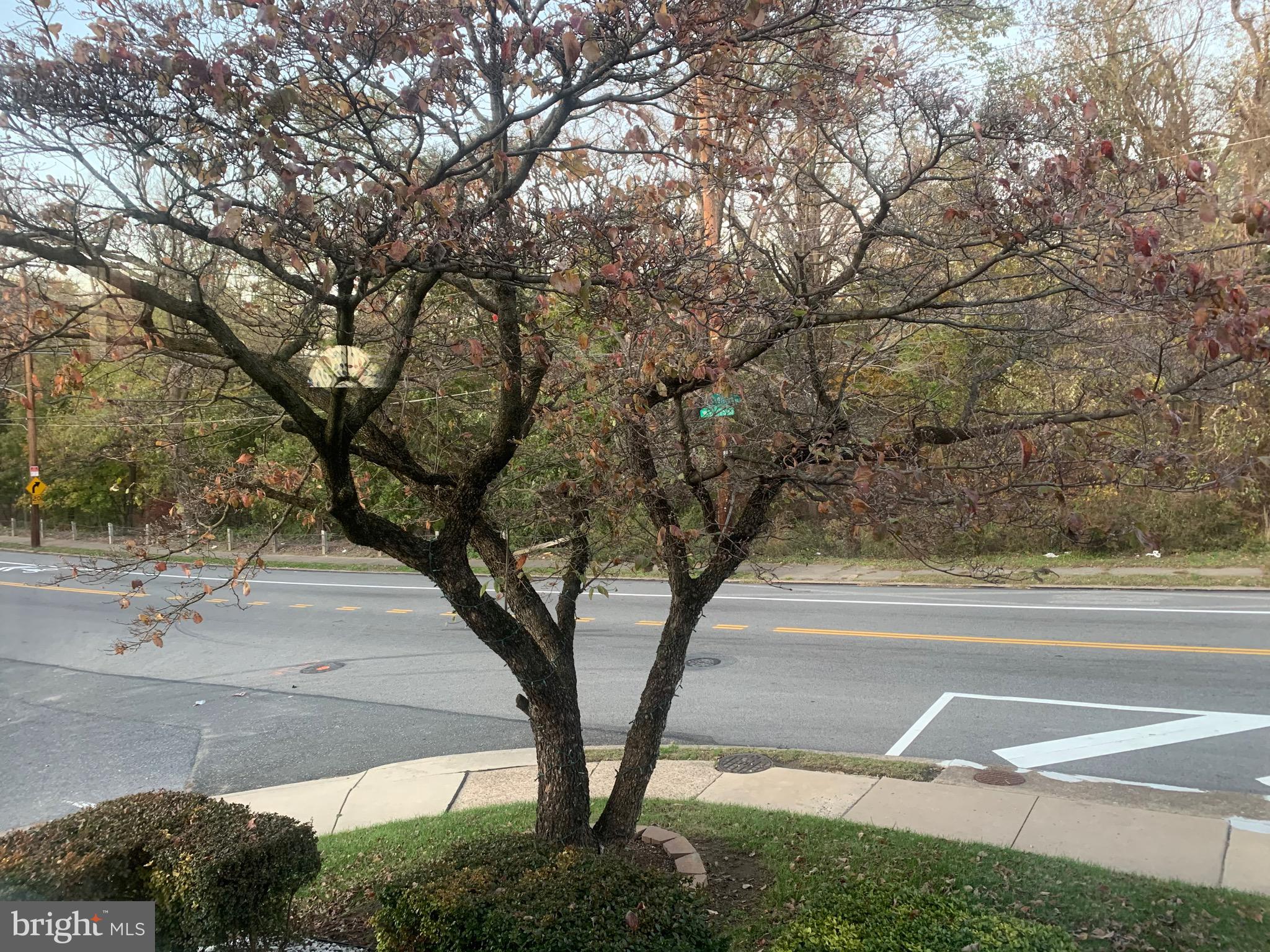 2934 Willits Road Philadelphia, PA 19136 - Photo 39 of 39 View from your living room window