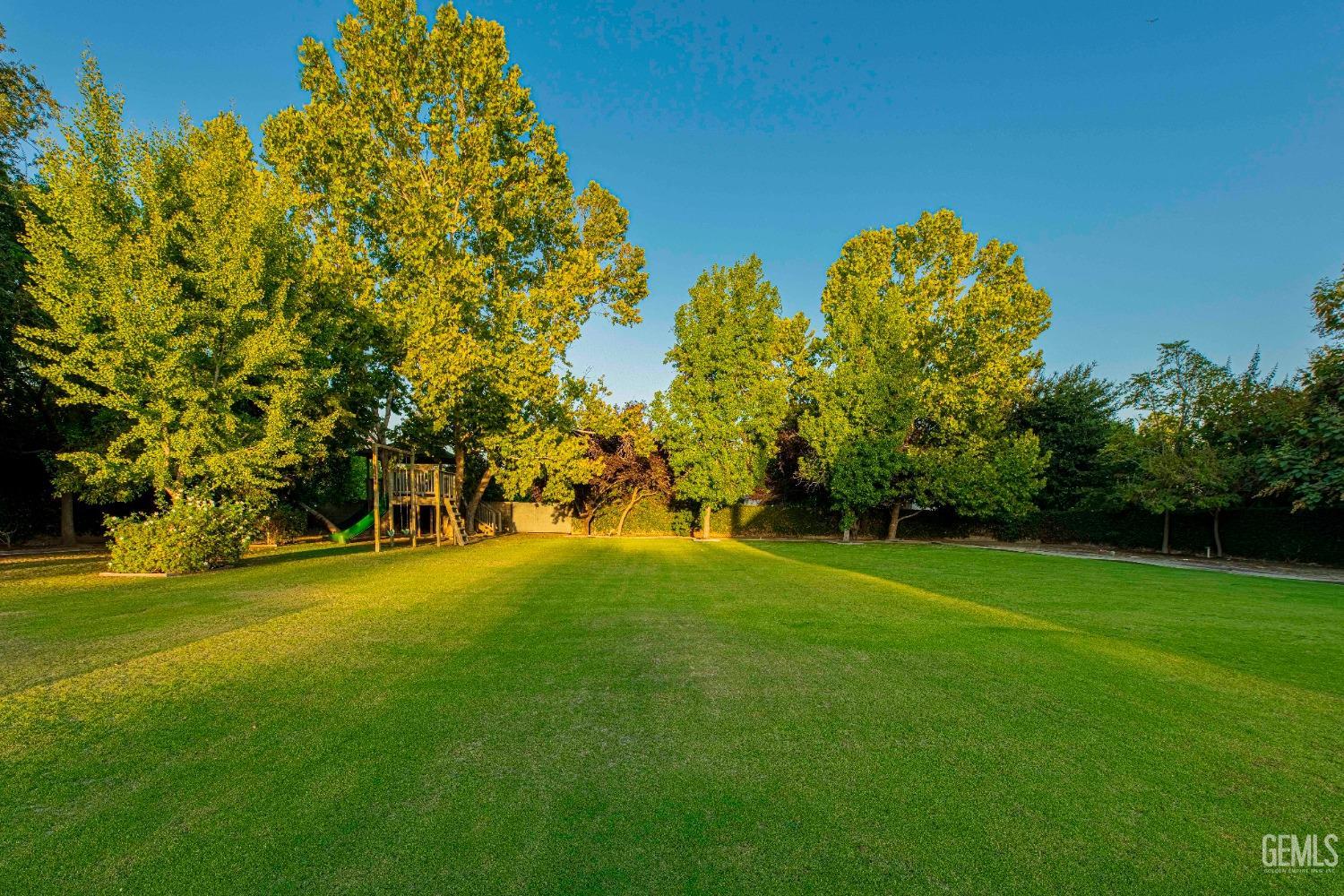 Undisclosed Address Bakersfield, CA 93314 - Photo 68 of 75 a view of a trees in front of a house