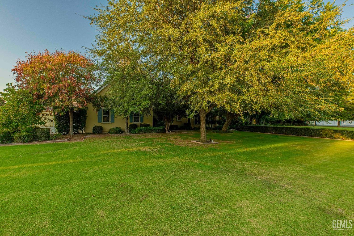 Undisclosed Address Bakersfield, CA 93314 - Photo 9 of 75 a view of a trees in front of a house
