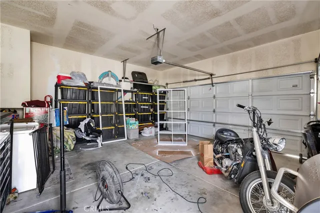 a view of backyard with tree