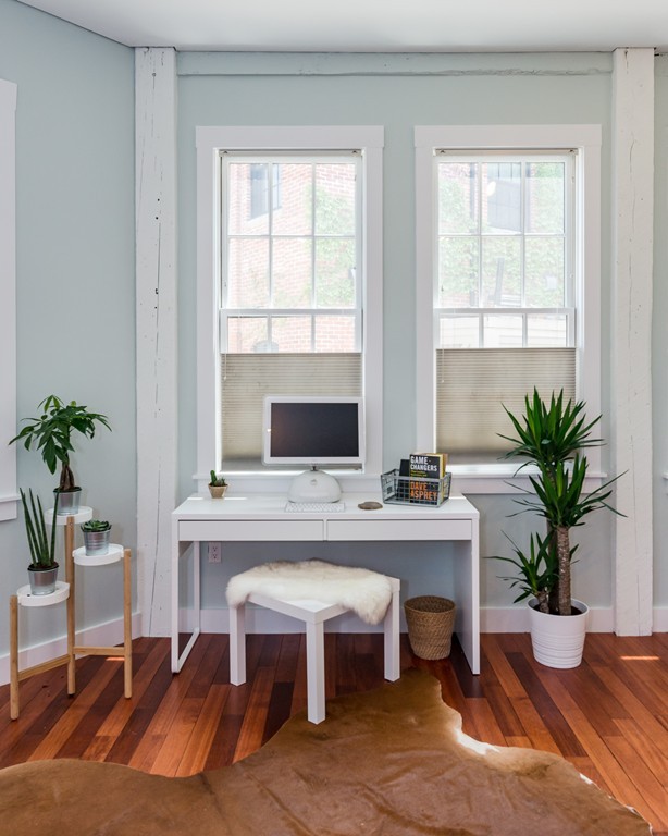 5 Tannery Brook Row, Unit 2 Somerville, MA 02144 - Photo 11 of 24 a living room with furniture potted plant and windows