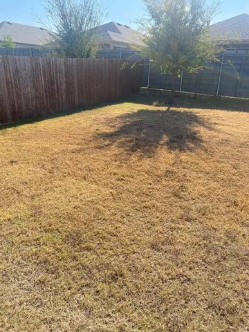a view of a backyard